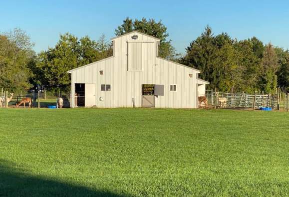 Bucks County Alpacas