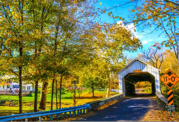 Covered Bridge In Bucks County