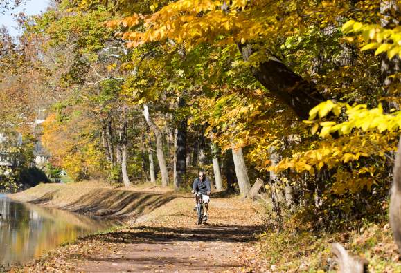 Cyclist along the Delaware Canal in fall