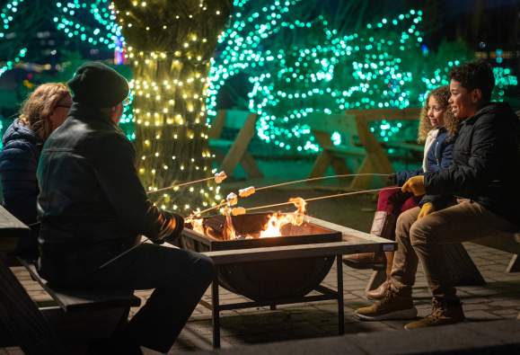 Shady Brook Farm Holiday Light Show