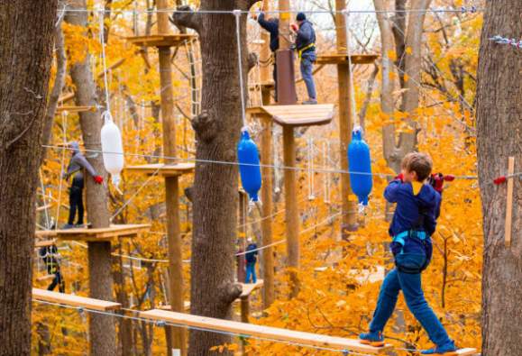 Tree Trails Fall Foliage