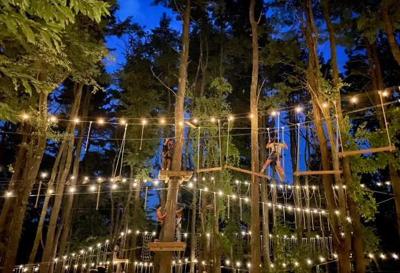 TreeTrails