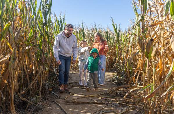 What's Up This Weekend In Bucks County