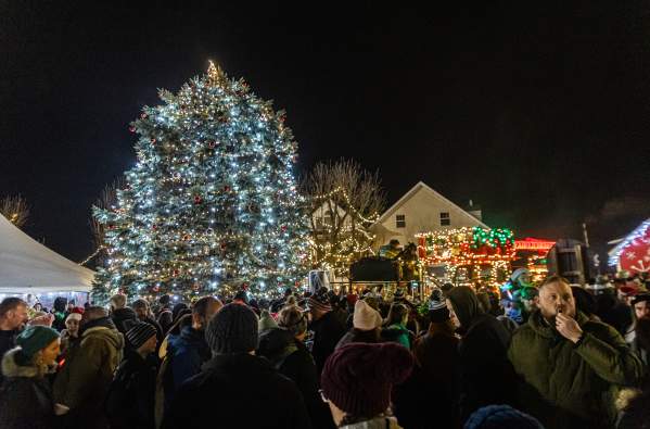 Perkasie Tree Lighting
