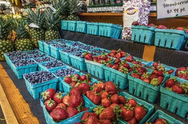 Pick-your-own Fun in Bucks County