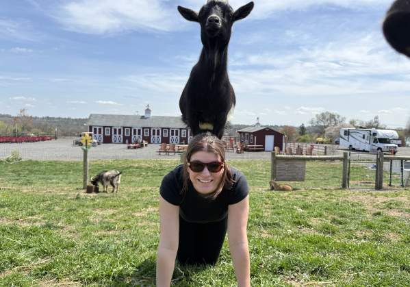 7 Bucks County Activities for the Animal Lover