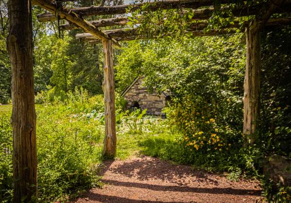 Bowman's Hill Wildflower Preserve