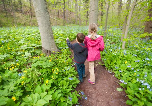 Beautiful Bucks County Gardens