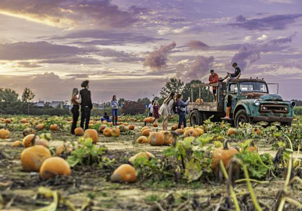 VBC Shady Brook Farm Fall Fest 2023 28