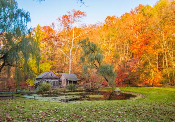 Top Instagrammable Fall Spots in Bucks County