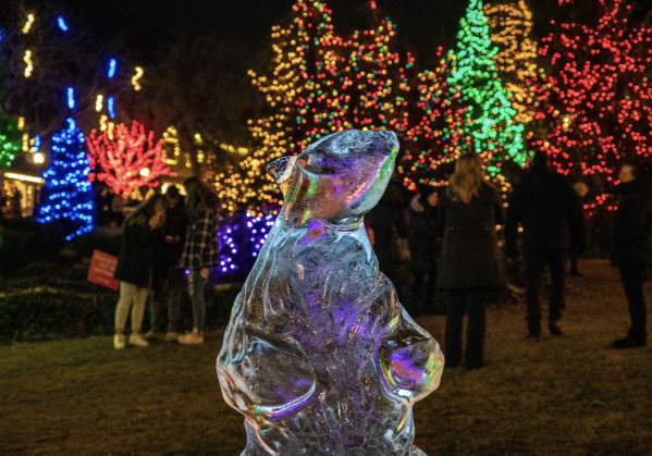 What's Up This Weekend In Bucks County