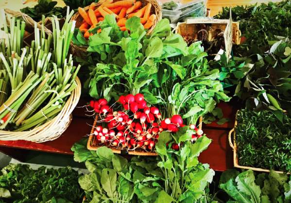 Farm-To-Table Fresh