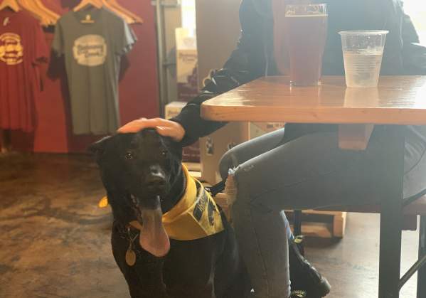 Dog-Friendly Breweries in Bucks County