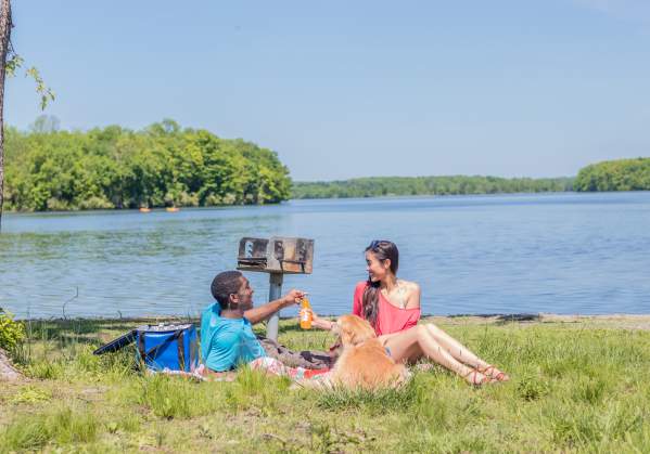 Perfect Places to Picnic