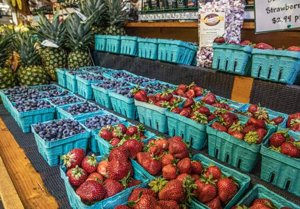 Pick-your-own Fun in Bucks County