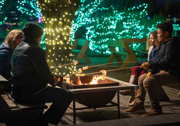 Shady Brook Farm Holiday Light Show