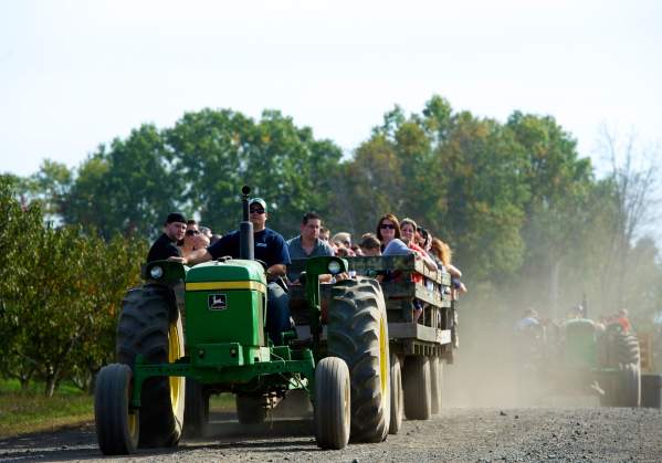 Hayrides & Wagon Rides in Bucks County