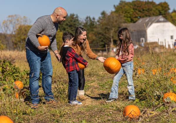 Pick-your-own Fun in Bucks County