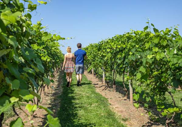 Winery Weekend Getaway to Bucks County, PA