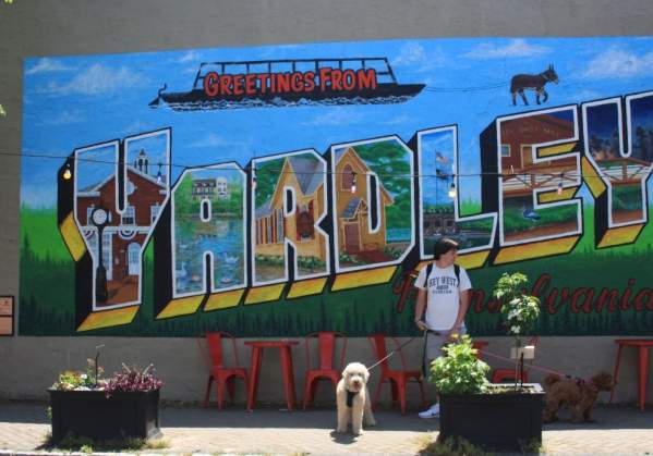 A Day In The Life Of A Dog in Yardley