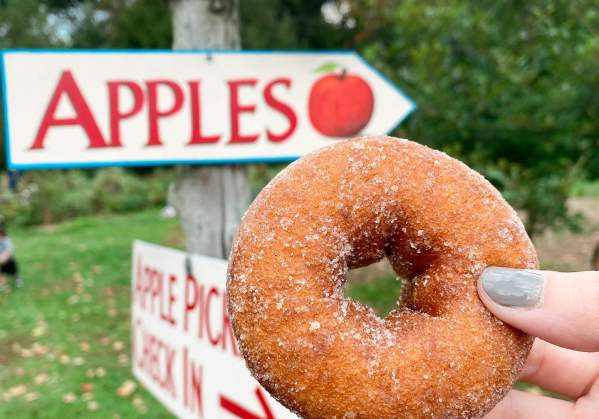 The Best Fall Food in Bucks County