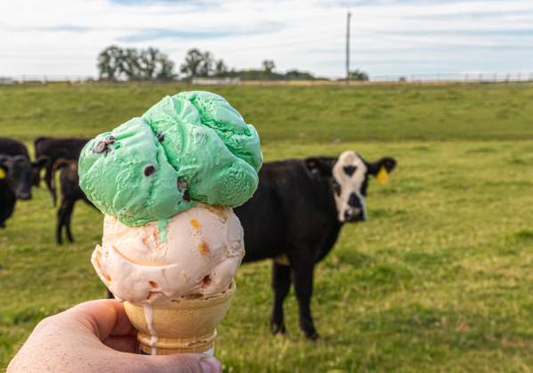 Places in Bucks County I Wish I Could Visit Again for the First Time