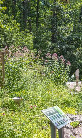 Bowman's Hill Wildflower Preserve