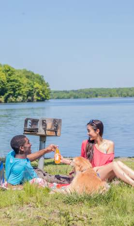Picnic at Lake Nockamixon