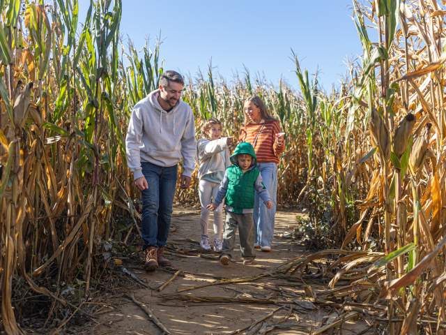 Fall Family Fun: A Weekend Itinerary