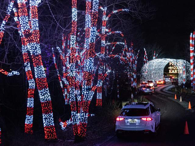 Holiday Magic at Shady Brook Farm