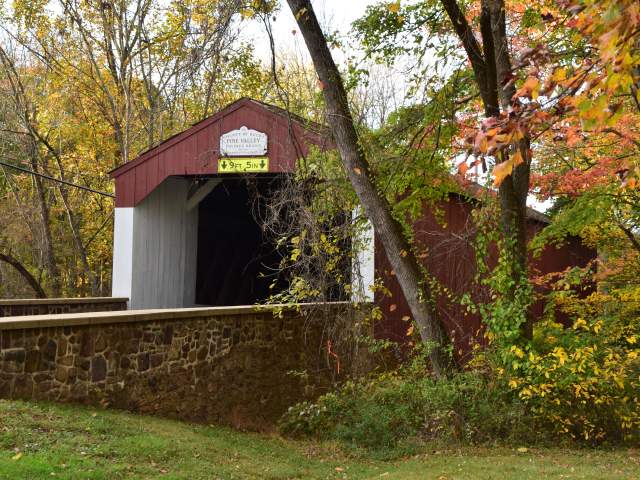 6 Ways to View Fall Foliage at its Peak in Bucks County