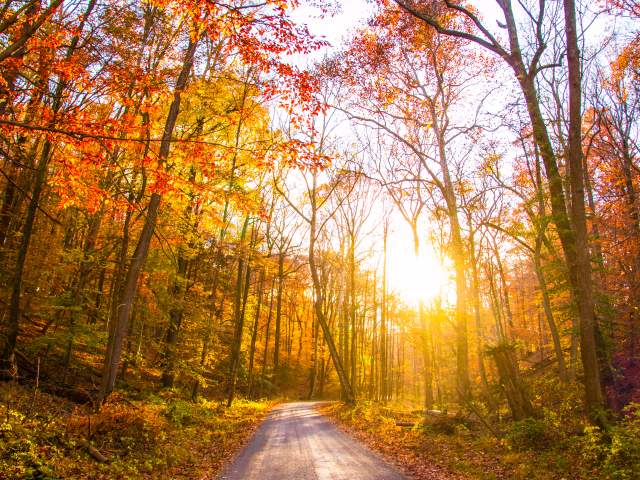 The Most Aesthetic Fall Photo Spots in Bucks County