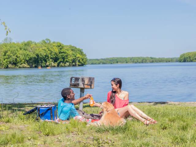 Perfect Places to Picnic