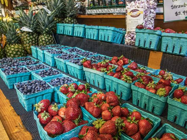 Pick-your-own Fun in Bucks County