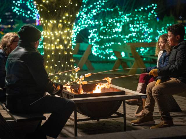 Shady Brook Farm Holiday Light Show