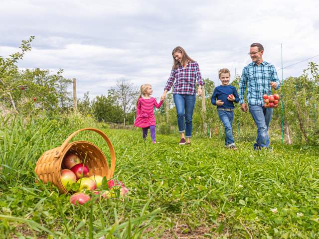 Pick-your-own Fun in Bucks County