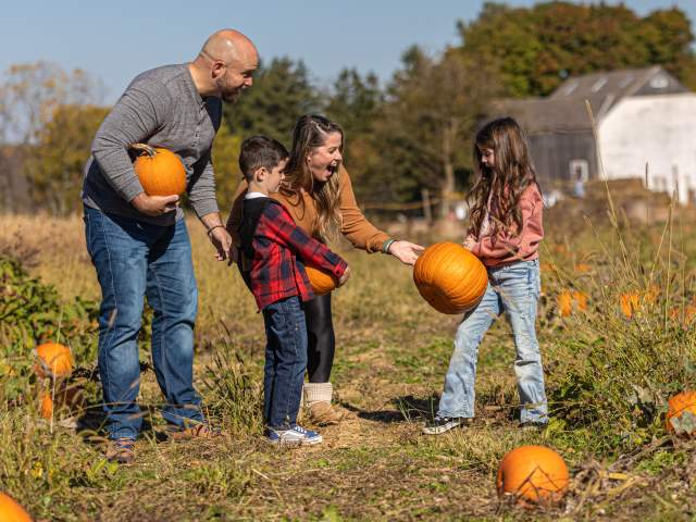 Pick-your-own Fun in Bucks County