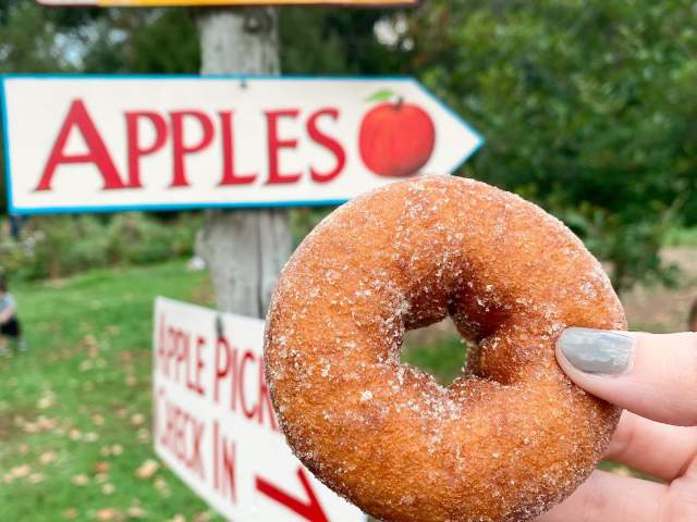 The Best Fall Food in Bucks County