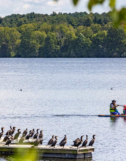 Unique Outdoor Recreation in Bucks County, PA