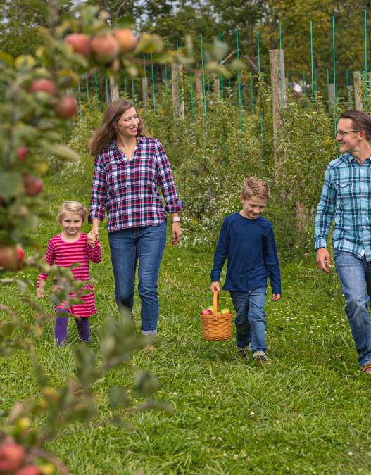 Pick-your-own Fun in Bucks County