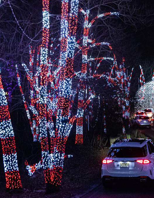Holiday Magic at Shady Brook Farm