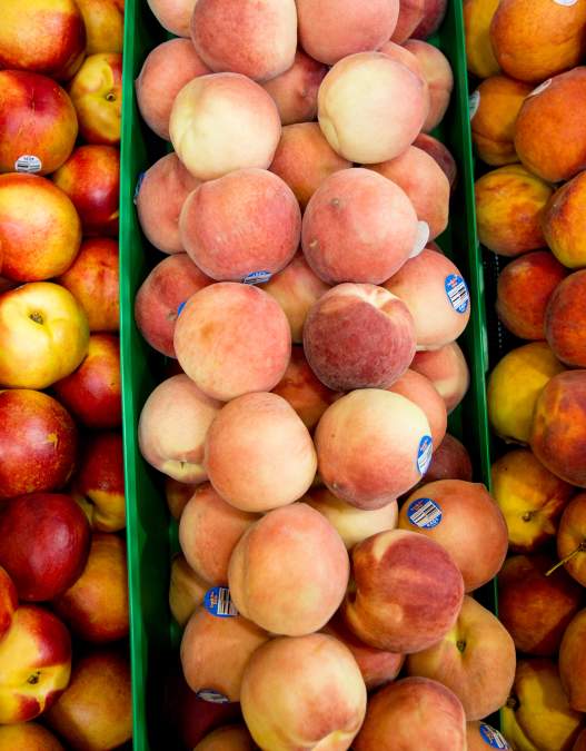 Bucks County Farmers Markets