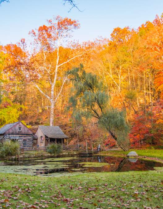 Top Instagrammable Fall Spots in Bucks County