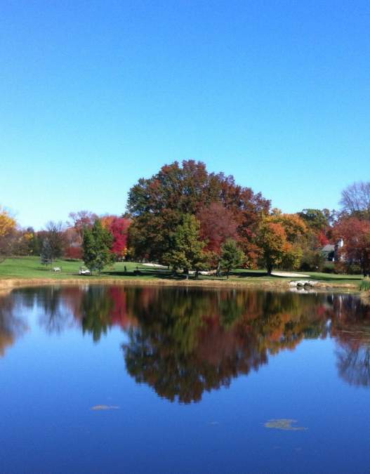 Take a Swing at These Bucks County Golf Courses