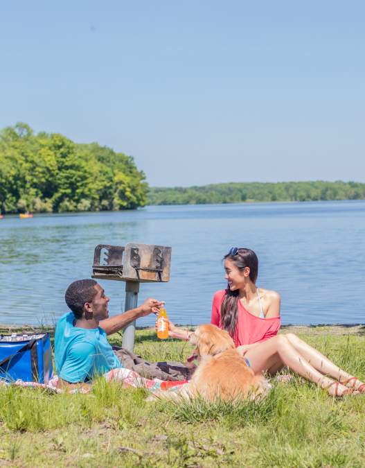 Best Dog-Friendly Hikes & Parks in Bucks County, PA – Plus Helpful Tips