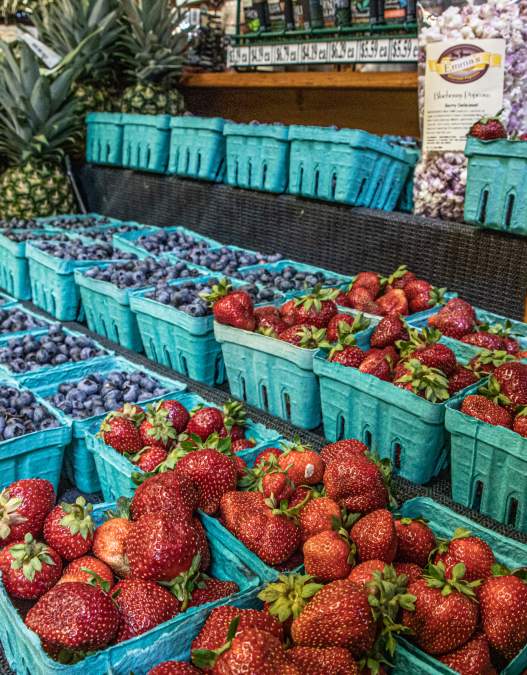 Pick-your-own Fun in Bucks County