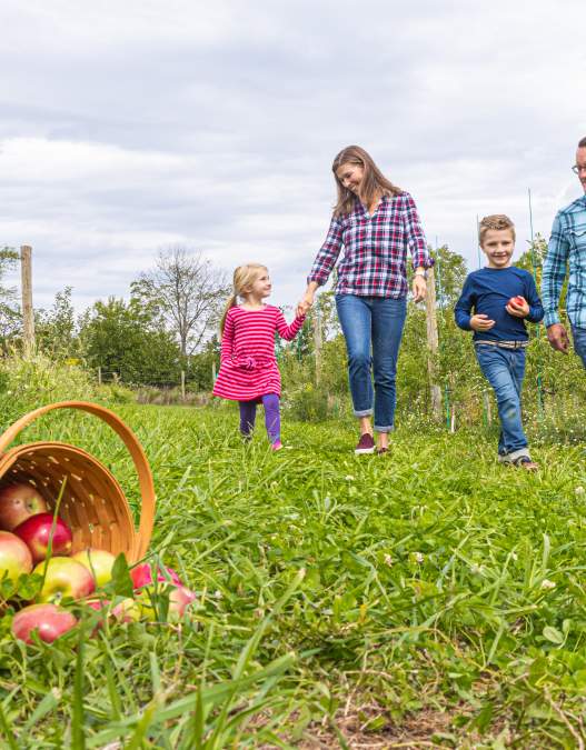 Pick-your-own Fun in Bucks County