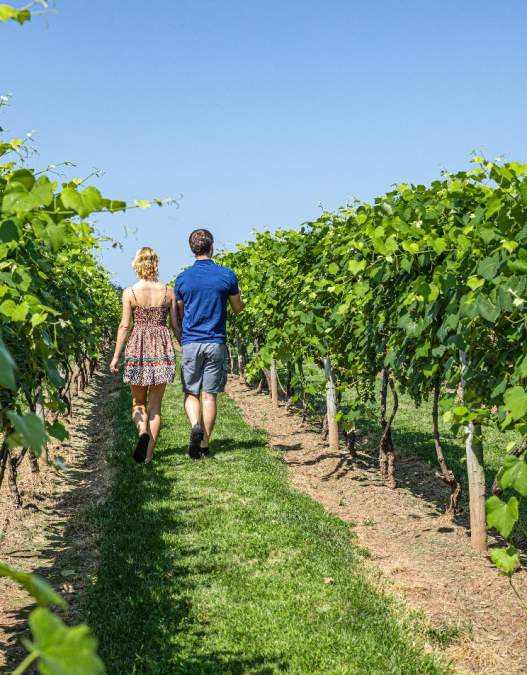 Winery Weekend Getaway to Bucks County, PA