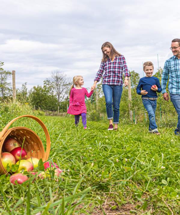 Pick-your-own Fun in Bucks County