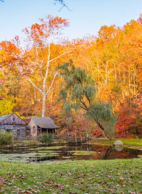 Fall Foliage with Cabin and Pond